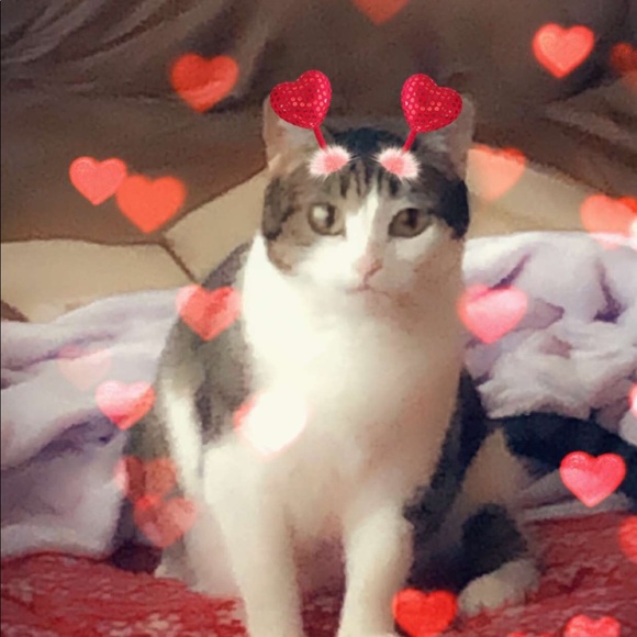 babydawnie01